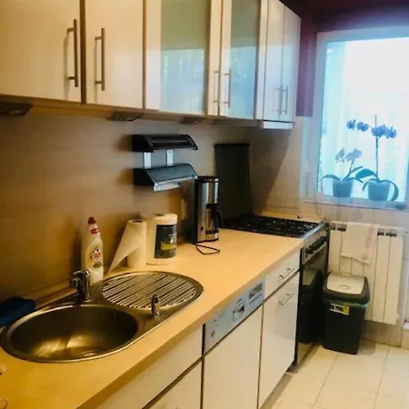 Joy Piatra Craiului 17