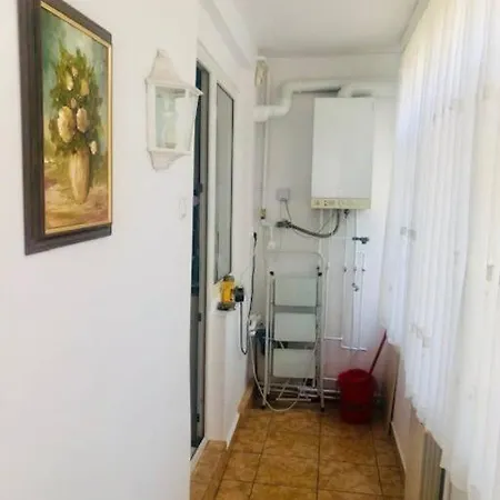 Joy Piatra Craiului 17 * Timisoara