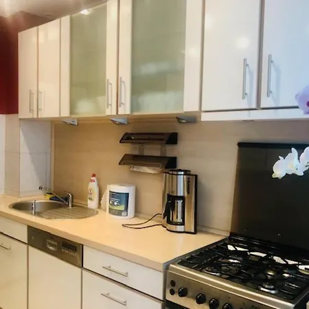 Joy Piatra Craiului 17 * Timisoara