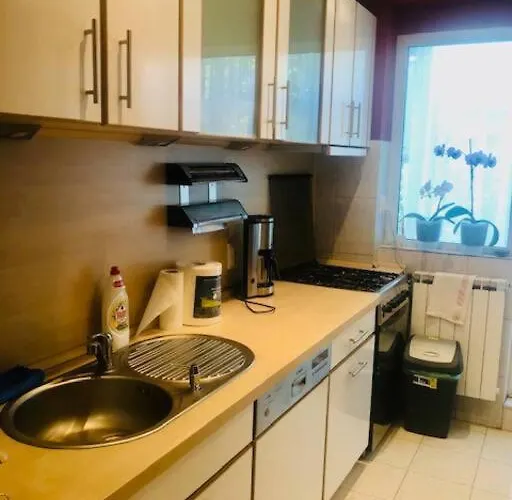 Joy Piatra Craiului 17