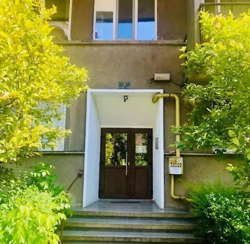 Joy Piatra Craiului 17 Timişoara