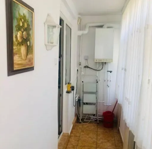 Joy Piatra Craiului 17 * Timişoara