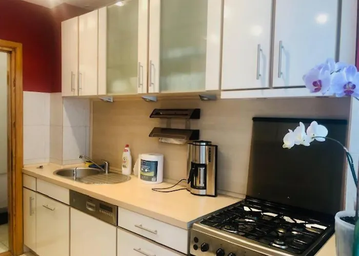 Joy Piatra Craiului 17 * טימישוארה