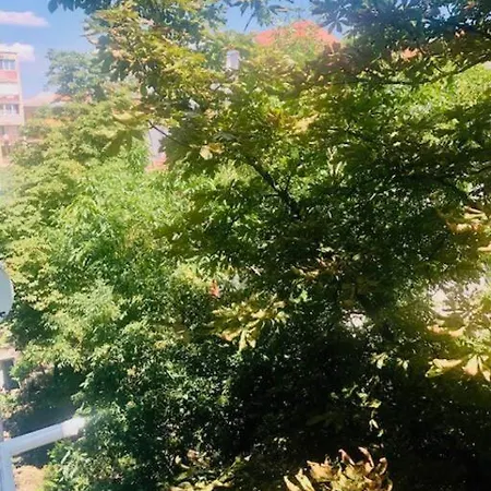 Joy Piatra Craiului 17 *