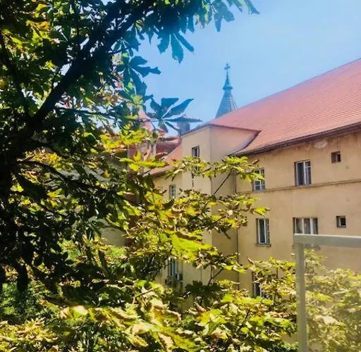 Joy Piatra Craiului 17 Timisoara